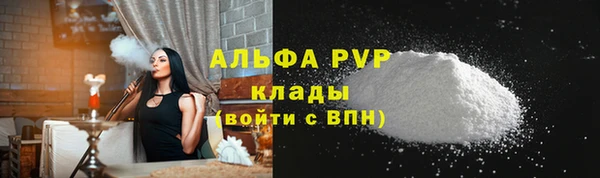 дживик Великий Новгород