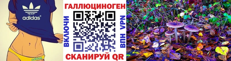 Галлюциногенные грибы прущие грибы  купить   мориарти телеграм  Бердск 